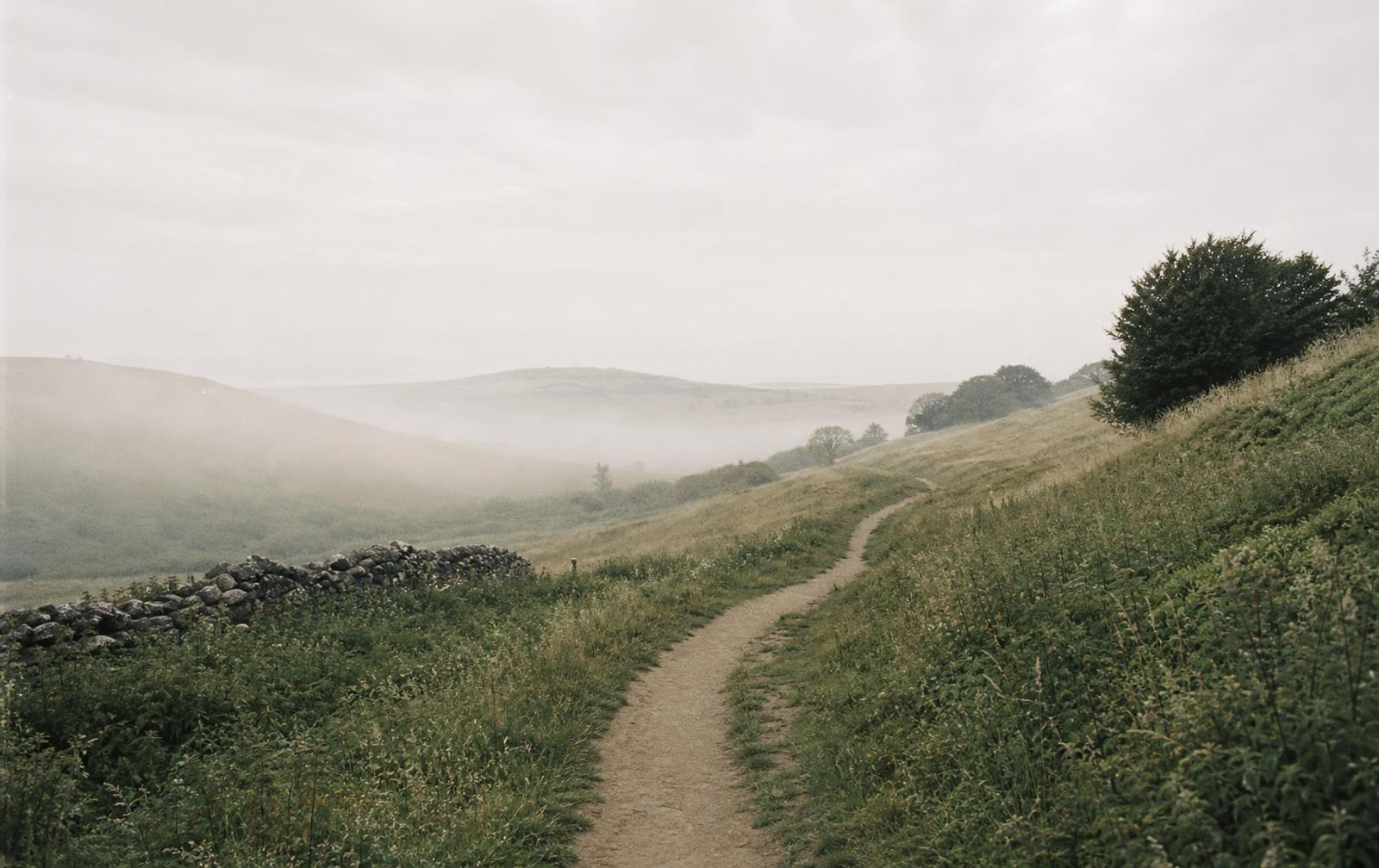 A winding path through soft rolling hills at dawn